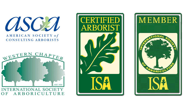 ISA certified arborist badges