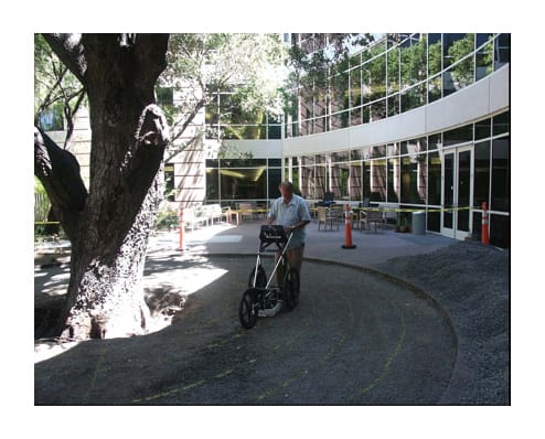 Locating oak tree roots, for placement of a storage tank below ground