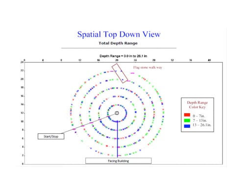 tree root mapping