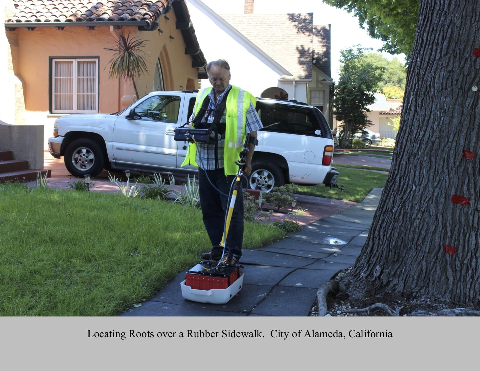 scanning roots through rubber sidewalk