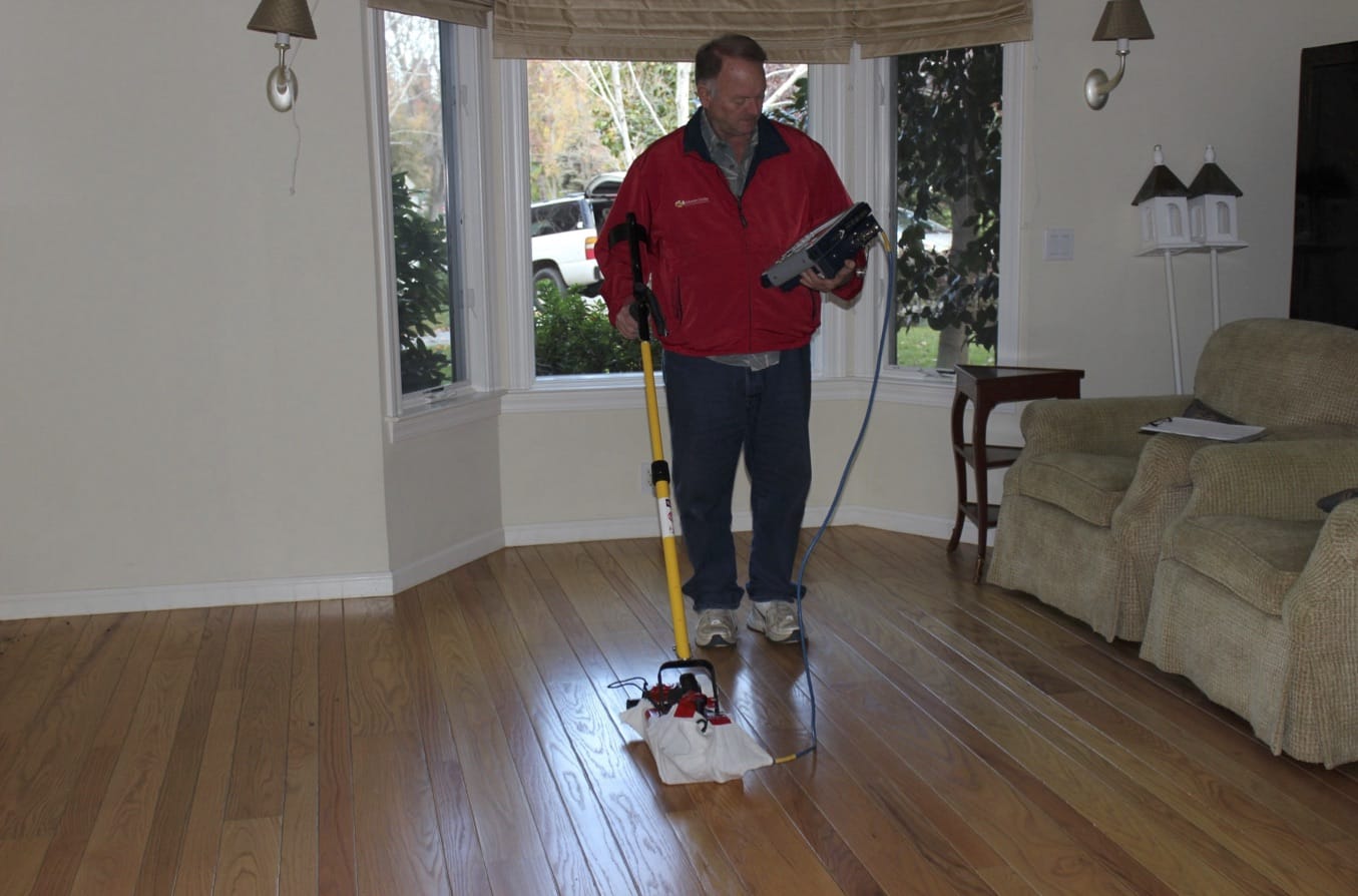 root scanning inside a house