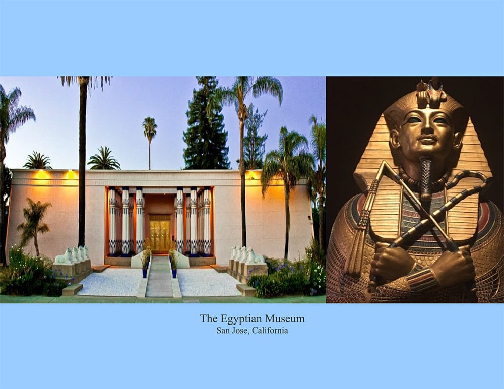 egyptian museum tree inventory