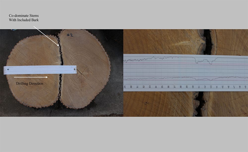 resistograph testing