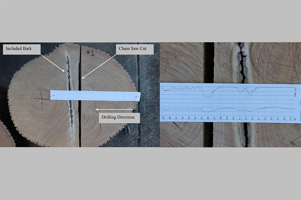 resistograph testing