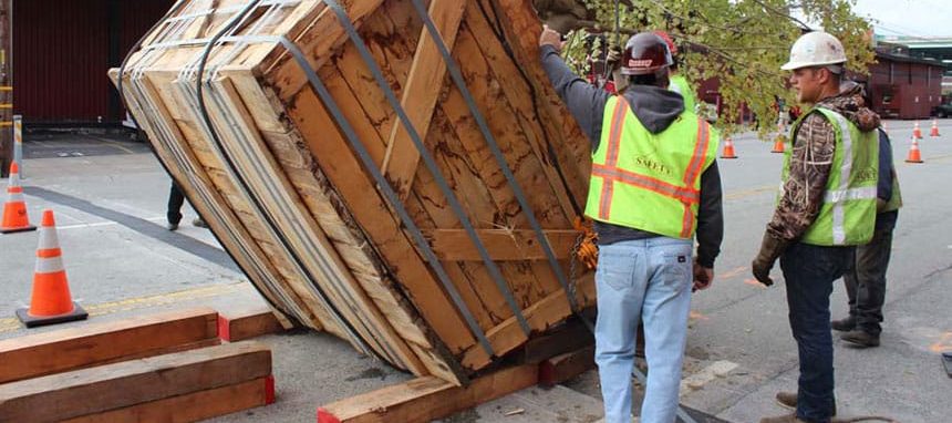 employees unloading maple tree