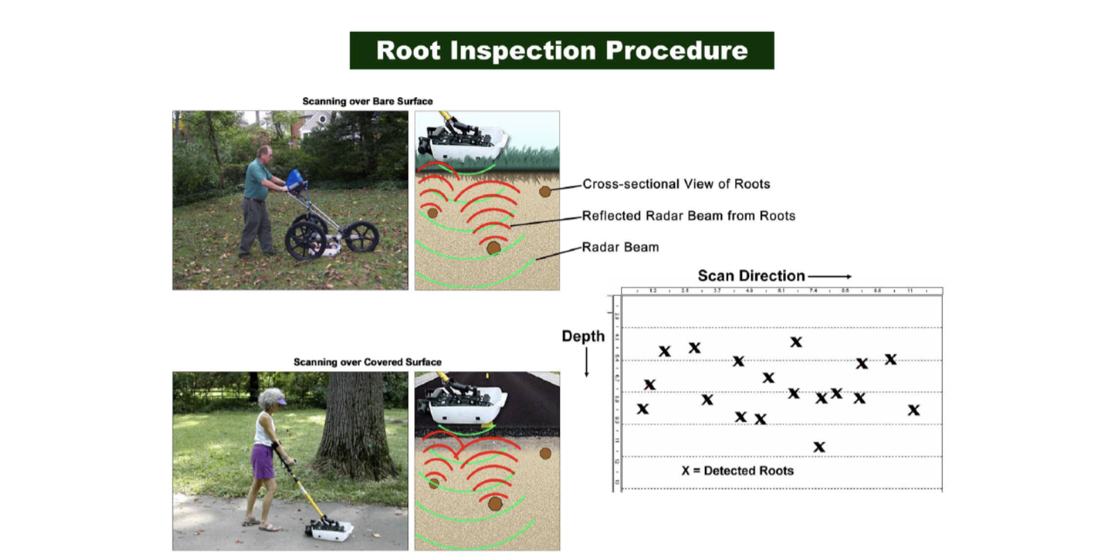 root inspection procedure