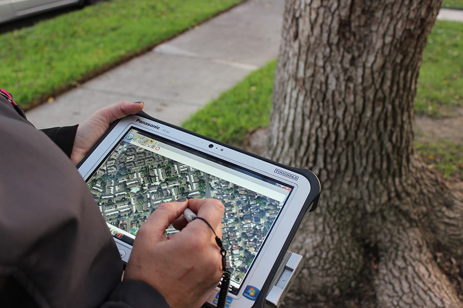 tree-inventories_2