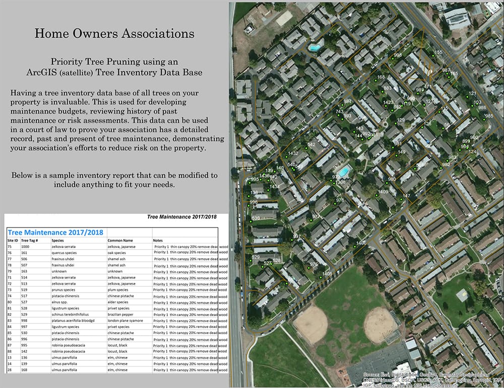 garden-park-village-homes-tree-inventory-slide-2 tree inventory